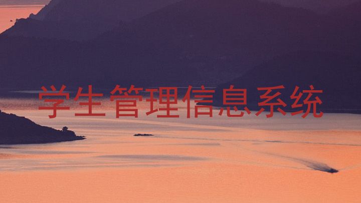 学生管理信息系统