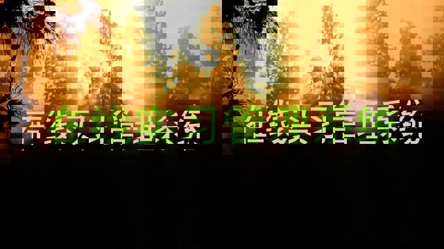 在线实习管理系统