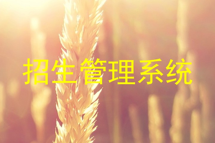 招生管理系统
