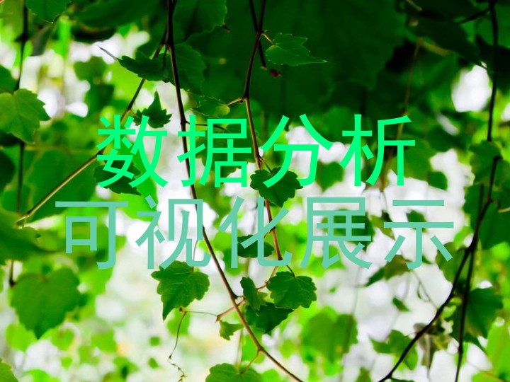 数据分析