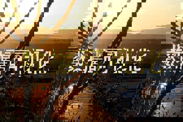 数据可视化