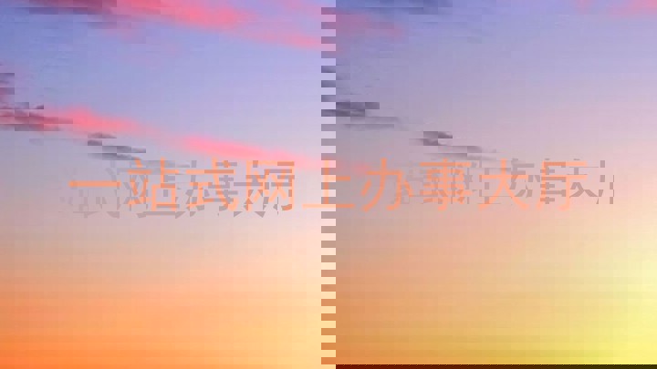 一站式网上办事大厅