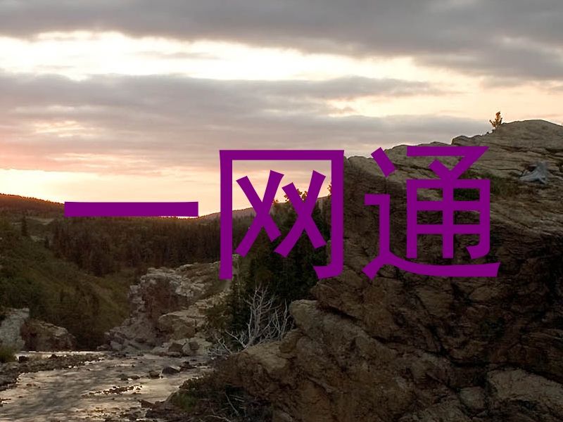 一网通