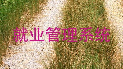 就业管理系统
