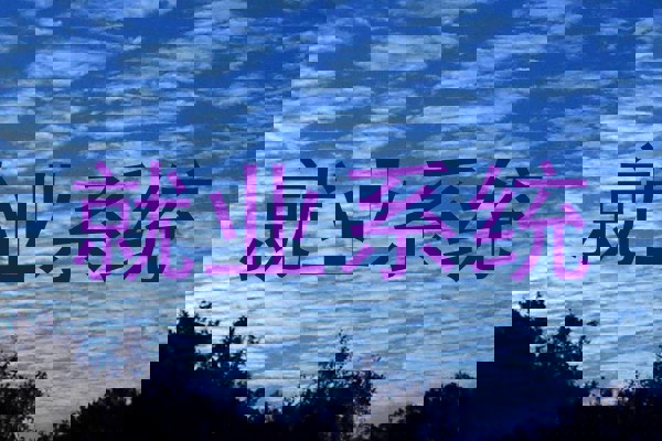 就业系统