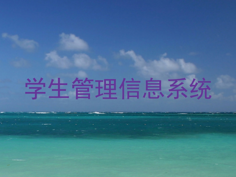 学生管理信息系统