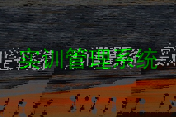 实训管理系统