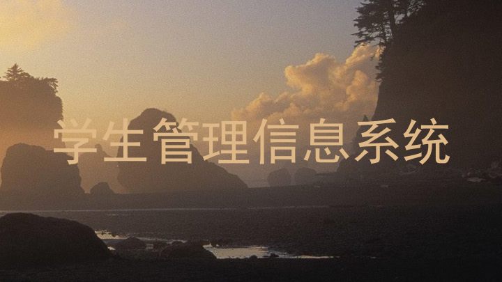 学生管理信息系统