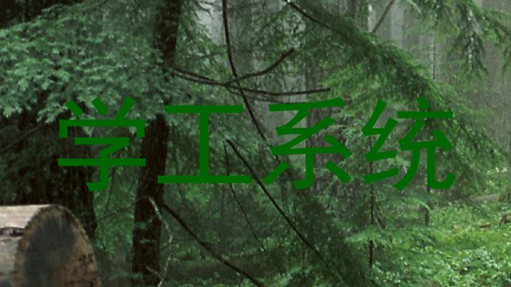 学工系统