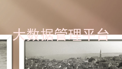 大数据管理平台