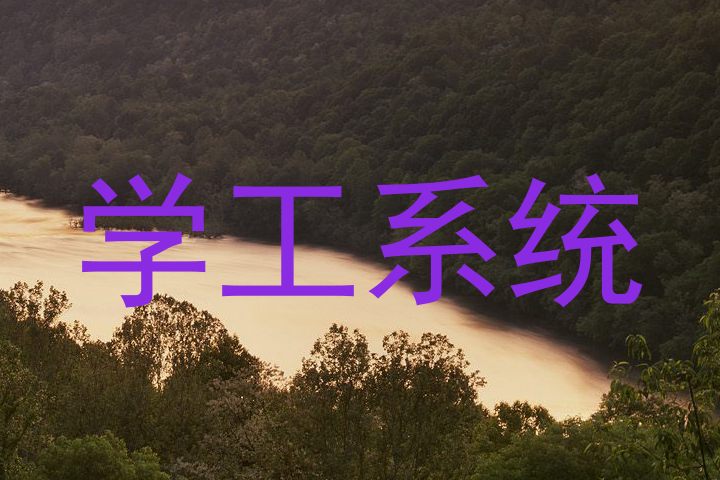 学工系统