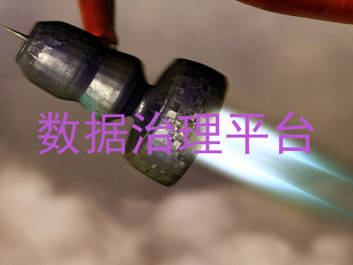 数据治理平台