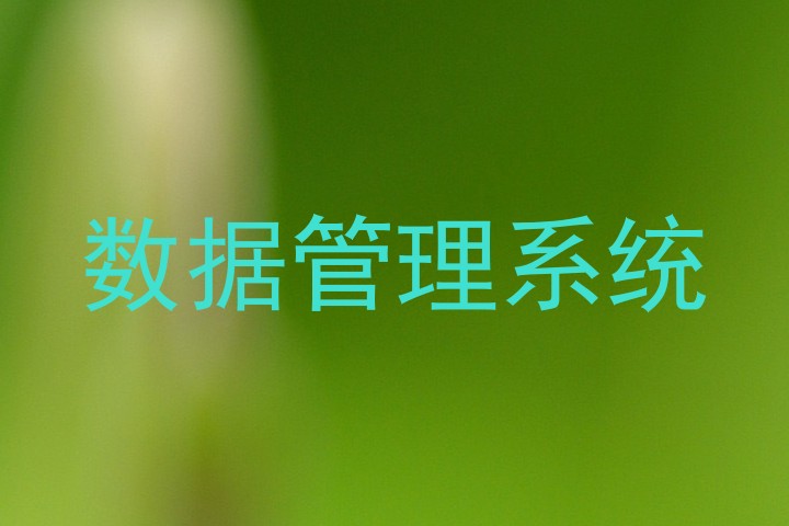 数据管理系统