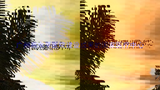 广州高水平医院建设成果的国家医疗中心