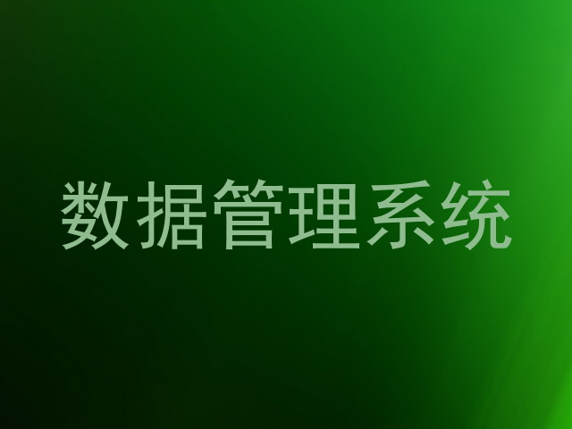 数据管理系统