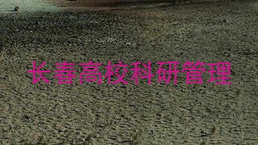 长春高校科研管理