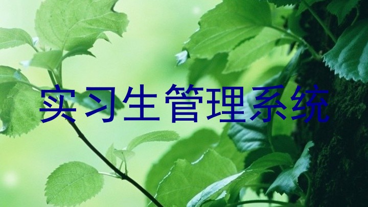 实习生管理系统