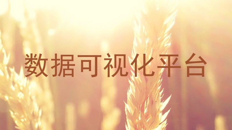 数据可视化平台
