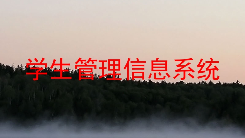 学生管理信息系统