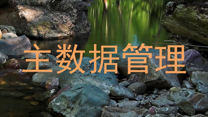 主数据管理
