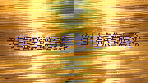 学生信息管理系统