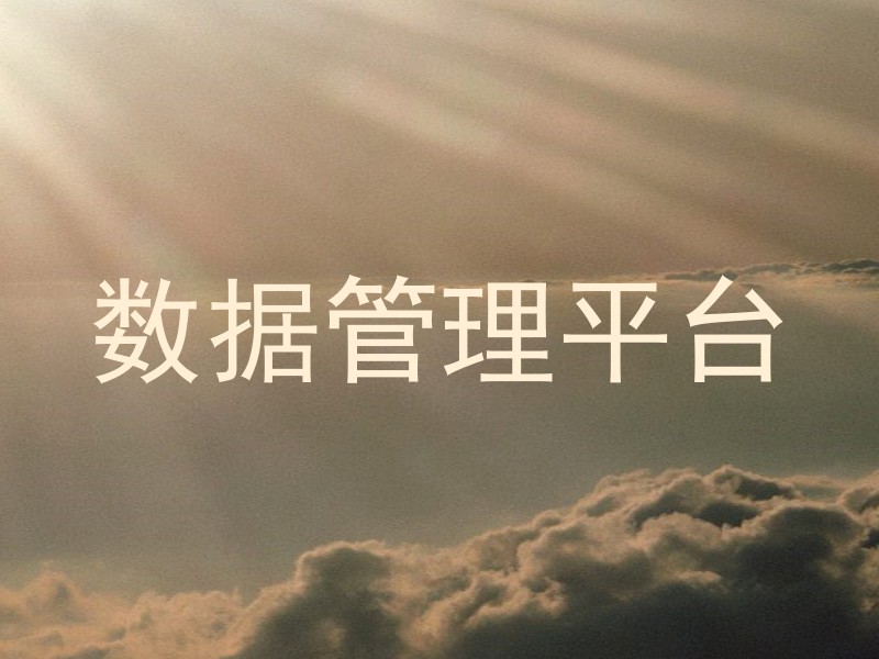 数据管理平台