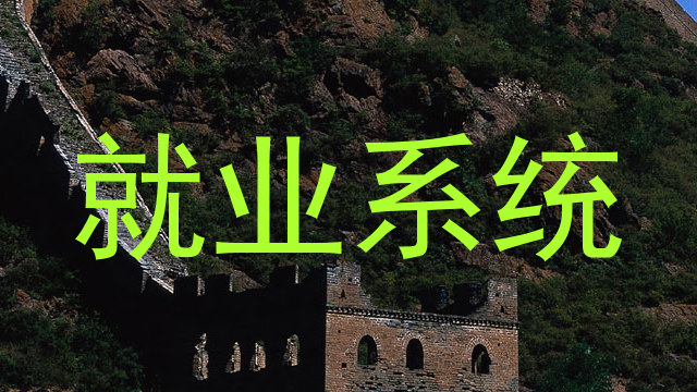 就业系统