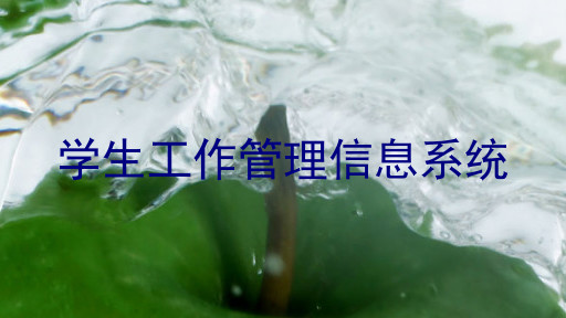 学生工作管理信息系统