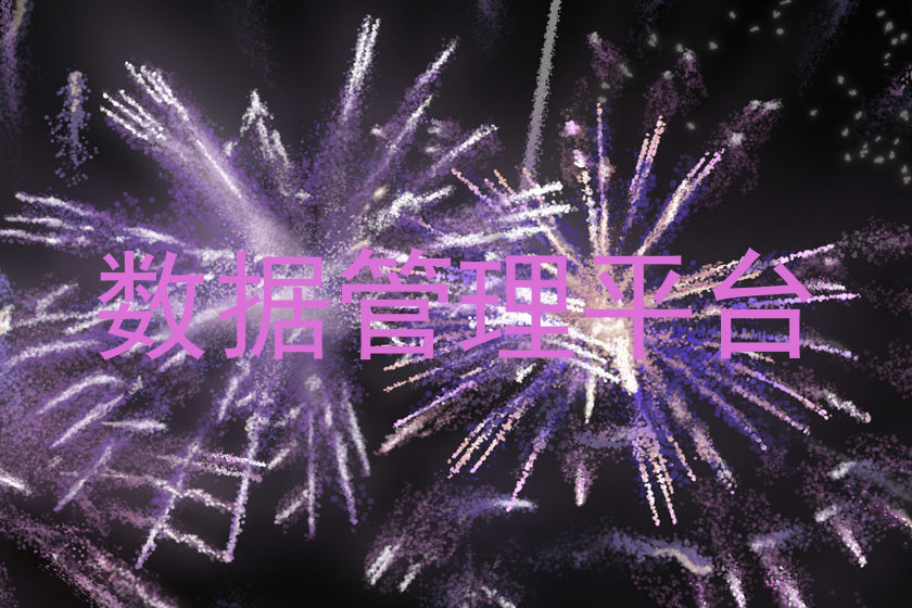 数据管理平台