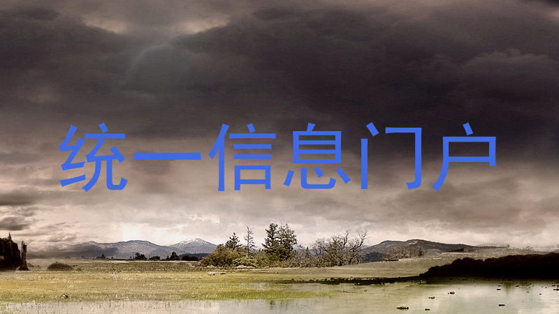 统一信息门户