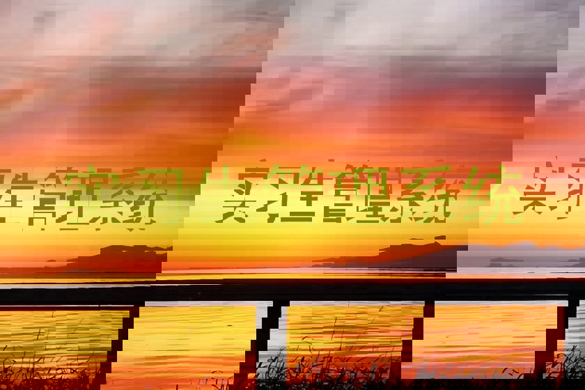 实习生管理系统