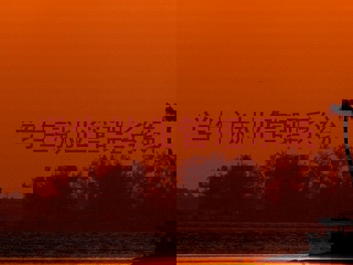 学生就业管理系统
