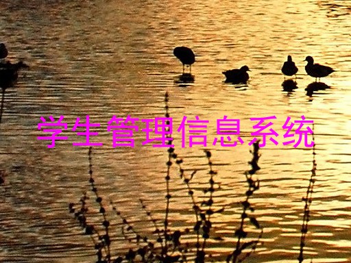学生管理信息系统