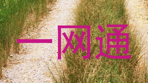 一网通