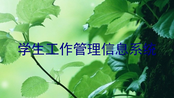 学生工作管理信息系统