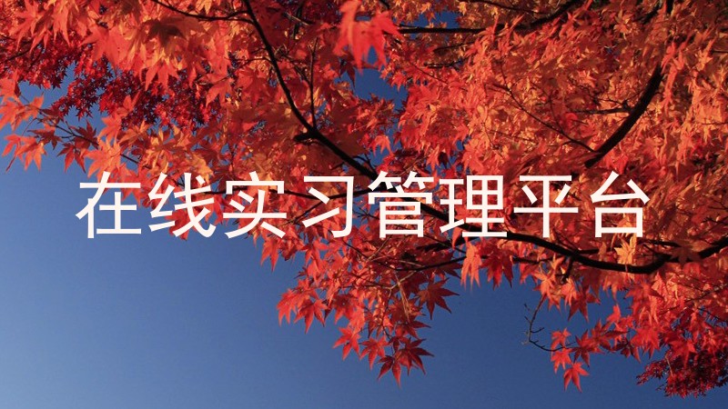 在线实习管理平台