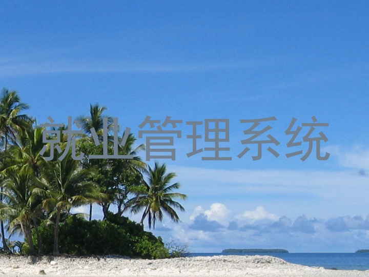 就业管理系统