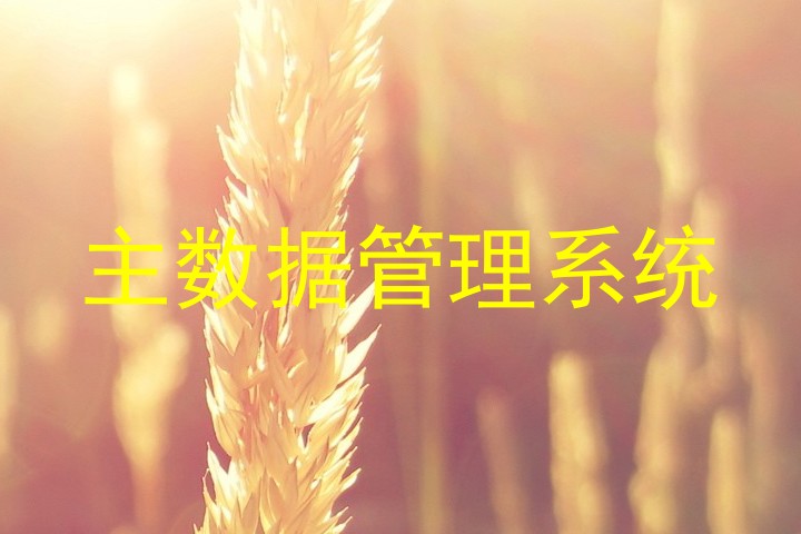 主数据管理系统