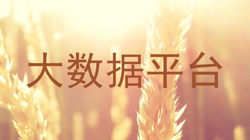 大数据平台