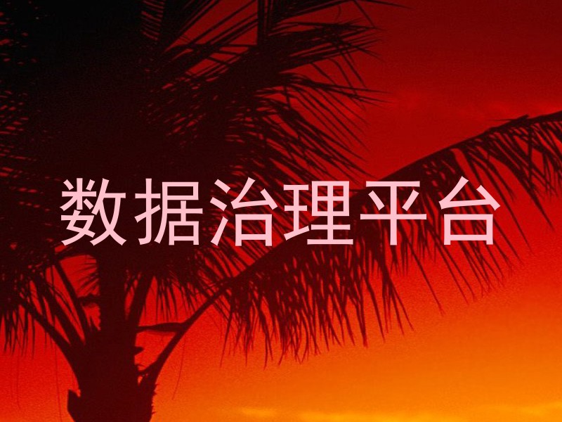 数据治理平台
