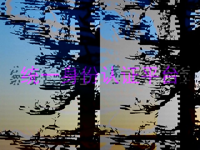 统一身份认证平台