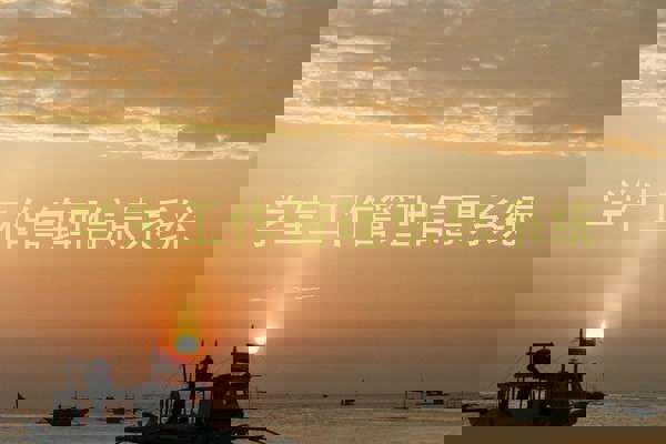 学生工作管理信息系统