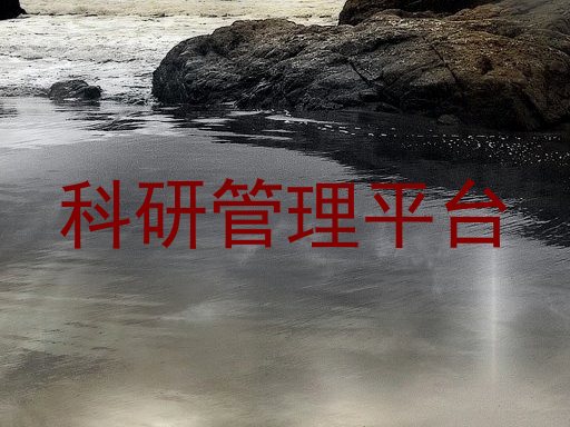 科研管理平台