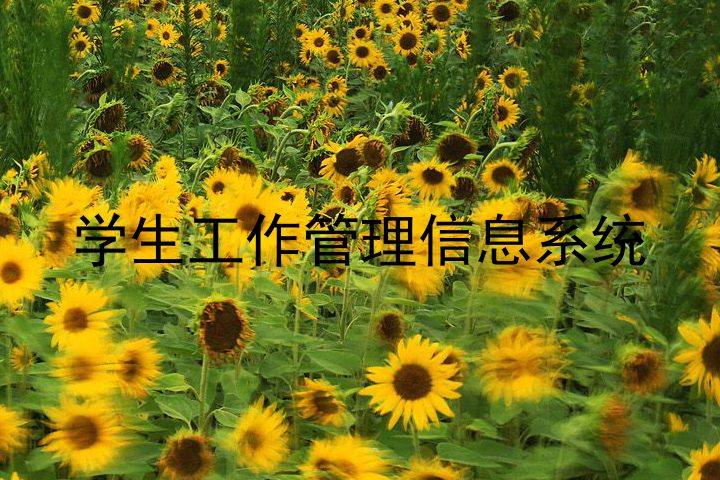 学生工作管理信息系统