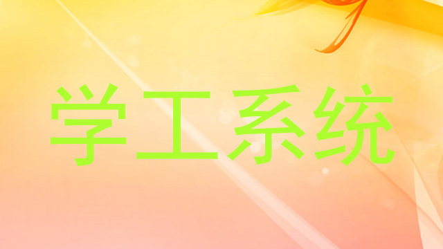 学工系统