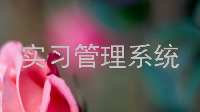 实习管理系统