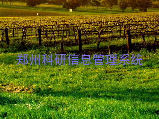 郑州科研信息管理系统