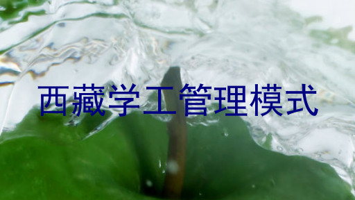 西藏学工管理模式