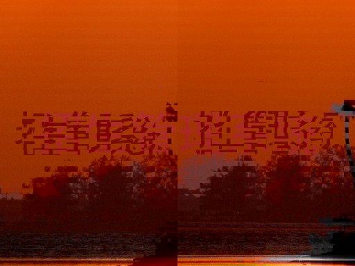 招生管理系统