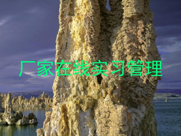 厂家在线实习管理